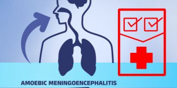 അമീബിക്ക് മസ്തിഷ്ക ജ്വരം; രാജ്യത്ത് ആദ്യമായി സാങ്കേതിക മാർഗരേഖ പുറത്തിറക്കി കേരളം