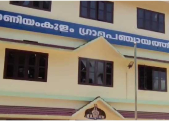 9 ഷൂട്ടർമാരും 20 സഹായികളും, പാലക്കാട്ടെ 5 പഞ്ചായത്തിൽ പടപടെ വെടിപൊട്ടി, 18 മണിക്കൂർ ദൗത്യത്തിൽ 50 കാട്ടുപന്നികളെ കൊന്നു